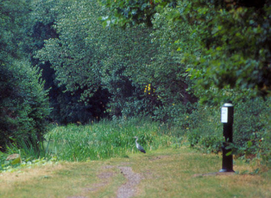 Milepost 32 and a heron