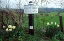 Link to view of milepost and daffodils