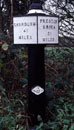 Link to picture of milepost