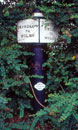 Link to picture of milepost